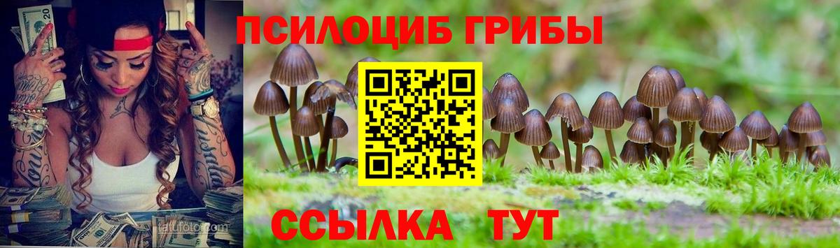 Борзя  Псилоцибиновые грибы Psilocybe  Вход с VPN 