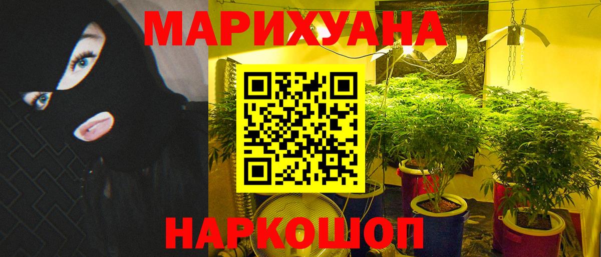 Шишки марихуана конопля  Бошки Шишки ГИДРОПОН  Вход с VPN  Борзя  МАРИХУАНА SATIVA & INDICA 